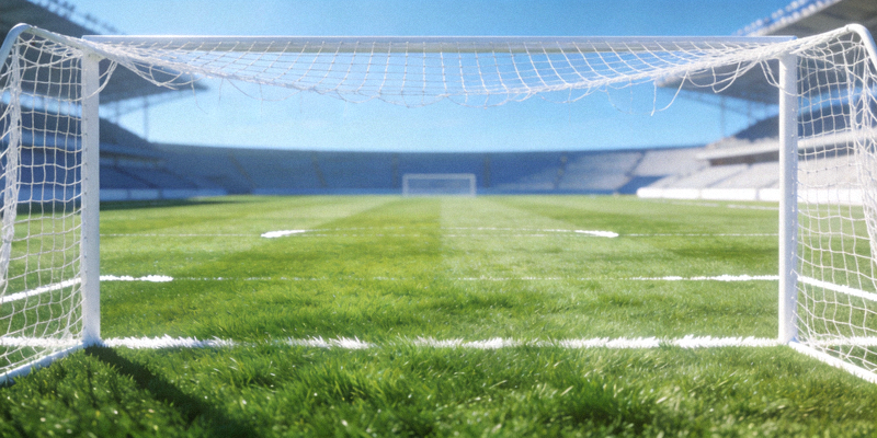 绿茵足球场地全景 - 整洁的草坪与球门轮廓